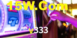 Programa VIP v333