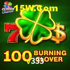 Experiência VIP v333