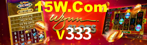 v333